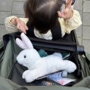 커버지니어스 | 와이업휴대용유모차 지니어스 사용후기