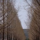 안성맞춤랜드 이미지