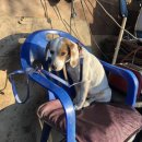 라파엘농장 이미지