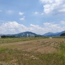 지락빌딩 앞 이미지