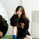 와이블 이미지