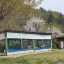 금시루가든 이미지