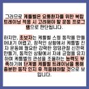 벨 트레이닝 이미지