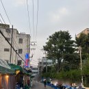 경상도 | 종로 을지로 동대문 야장 경상도식당 후기