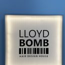 로이드밤 평내호평점 이미지