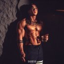 참짐헬스장 부원점 이미지