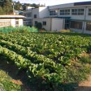 홍성 풀무농업고등기술학교 이미지