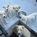 제주도조용한게스트하우스산방산 이미지