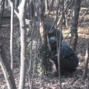 선인주식회사 이미지