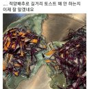 적양배추로 토스트 안하는 이유 이미지