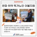 필경희 한의원 이미지