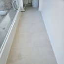 파파독 동해 이미지