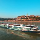 크루즈코리아(주) 이미지