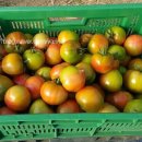 대박농장2 이미지