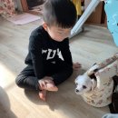 피자스쿨(안성공도점) | 2019.1.13~19