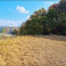 형국농장 이미지