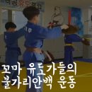 백곰 유도클럽 이미지