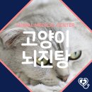 연성 동물병원 이미지