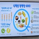 제 15강 토종씨앗과 GMO (6/12 수) 이미지