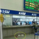 동대구역 이미지