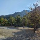 덕이네 펜션&캠핑 | 양양 캠핑 그루터기캠핑장, 솔직 후기 — 계곡 물놀이와 펜션의 완벽한 조화