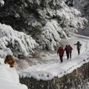 눈꽃안경 이미지