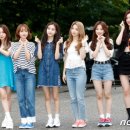 양이펀치 이미지