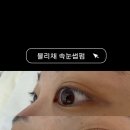 블리채 네이버블로그