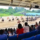 라온더마파크 이미지