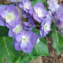 별밤농장 이미지