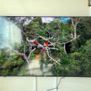 용화고길 이미지