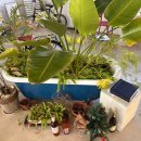 해변하우스민박 이미지