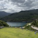 알파인 팬션 | 동해 가볼만한곳 액티비티 천국 무릉별 유천지 루지 알파인코스터 가격 정리