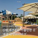 댕댕샤워 | 부산 근교 여행 애견동반 가볼 만한 곳 김해 롯데 댕댕워터파크