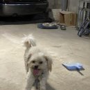 태헌농장 이미지