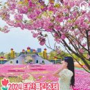 세계 태안 튤립 꽃 축제 축제 여행 이미지