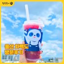 울산 차백도 방문후기 거봉젤리스무디 솔직후기