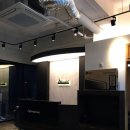 올리몰스 펫샵 이미지