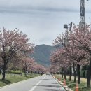 풍경공원 화장실 | &#34;미사경정공원 겹벚꽃 🌸지금이 피크! 평일 나들이후기&#34;