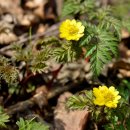 이마당약수터 이미지