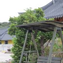 한옥민박 | 경주숙소 추천, 조용한 감성까지 갖춘 경주오릉한옥 경주한옥민박 후기