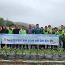 농협은행 IT부문, 영농철 화훼농가 일손돕기 실시 이미지