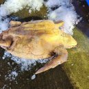 속초해경거진파출소 이미지