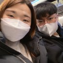 미르세탁 전문점 | 강아지 함께 간 4박5일 제주도 여행 경비 정리!!