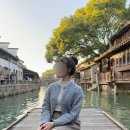 K장녀의 상하이 여행 | 우전야간투어 상하이 수향마을 추천 후기 | 와그 WAUG 중국 상해 근교 우전투어