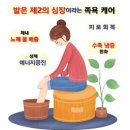 쉼다이어트
