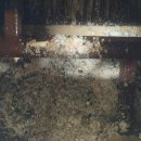 이화상사 이미지