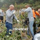 효촌2리 이미지