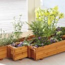 농장풀물 이미지