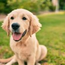 이산동물의료센터 이미지